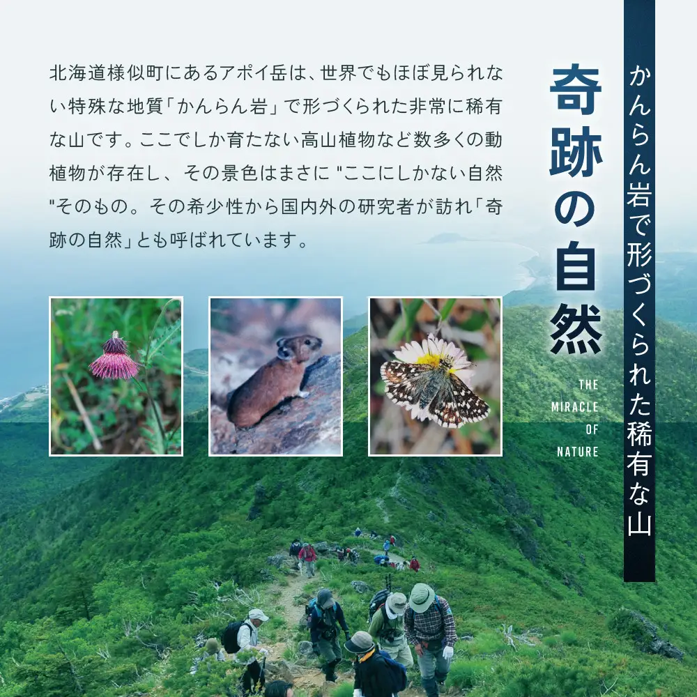 【返礼品なし】アポイ岳ファンクラブ自然保全活動応援　3,000円 返礼品なし