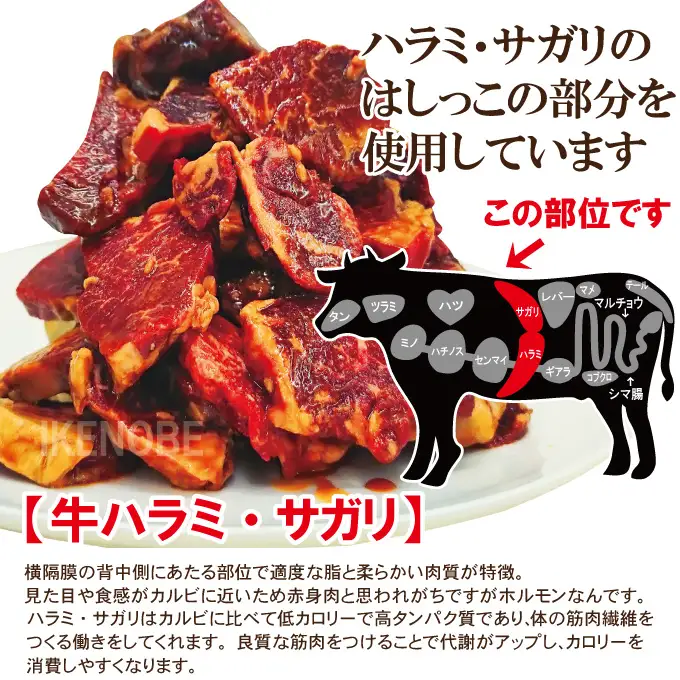 熟成たれはしっこ牛ハラミカルビ 1kg（約250g×4パック）冷凍 焼肉 牛 ハラミ 【牛肉】【ho1749】