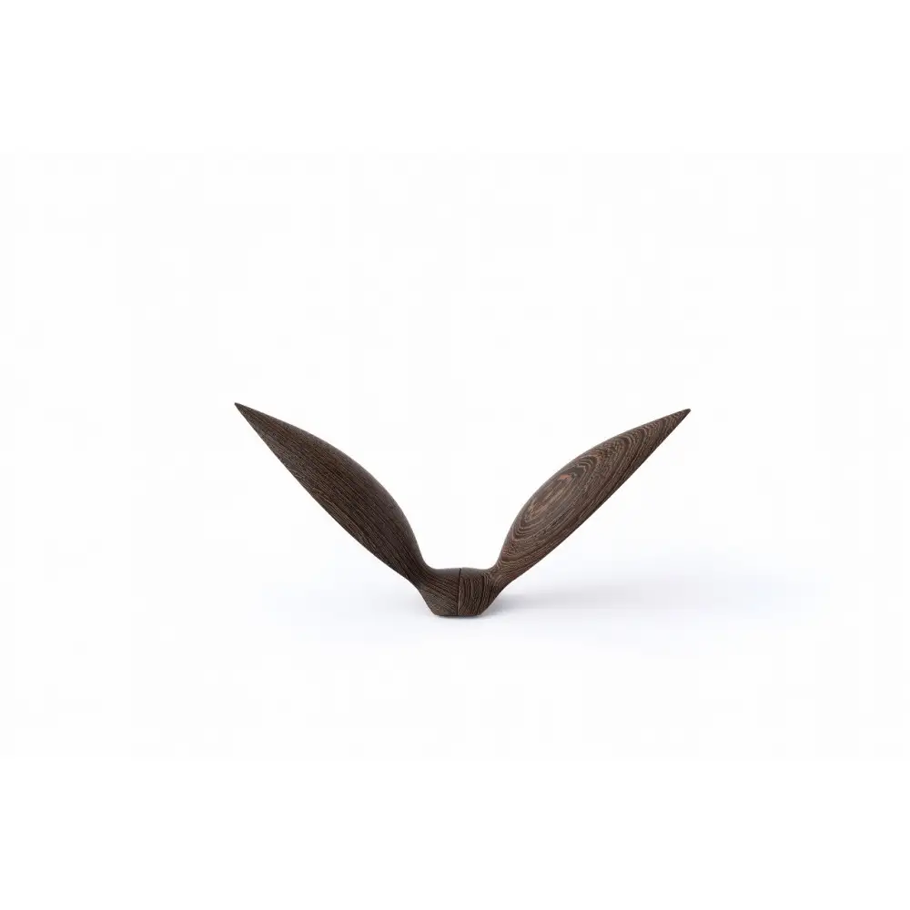 【Tagayasan（タガヤサン）：こげ茶】【銘木再生】幸運を運ぶ木製オブジェliving_bird 鴎