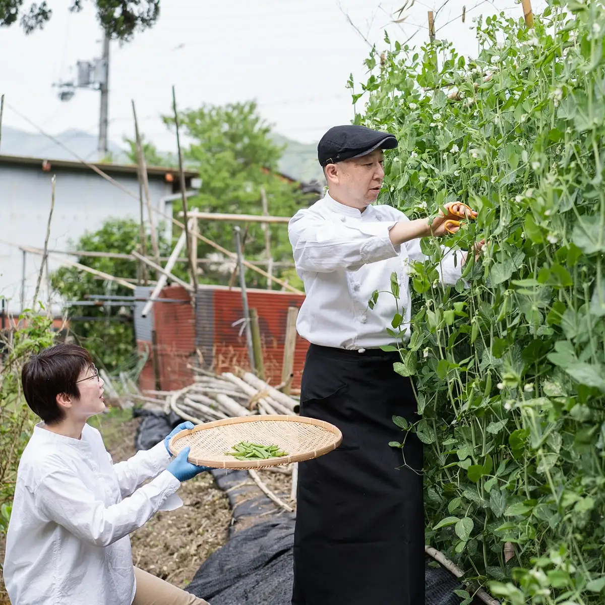 パスタソース 冷凍 ボロネーゼ 150g×5個 イタリアンレストラン＆ウェディング オズ