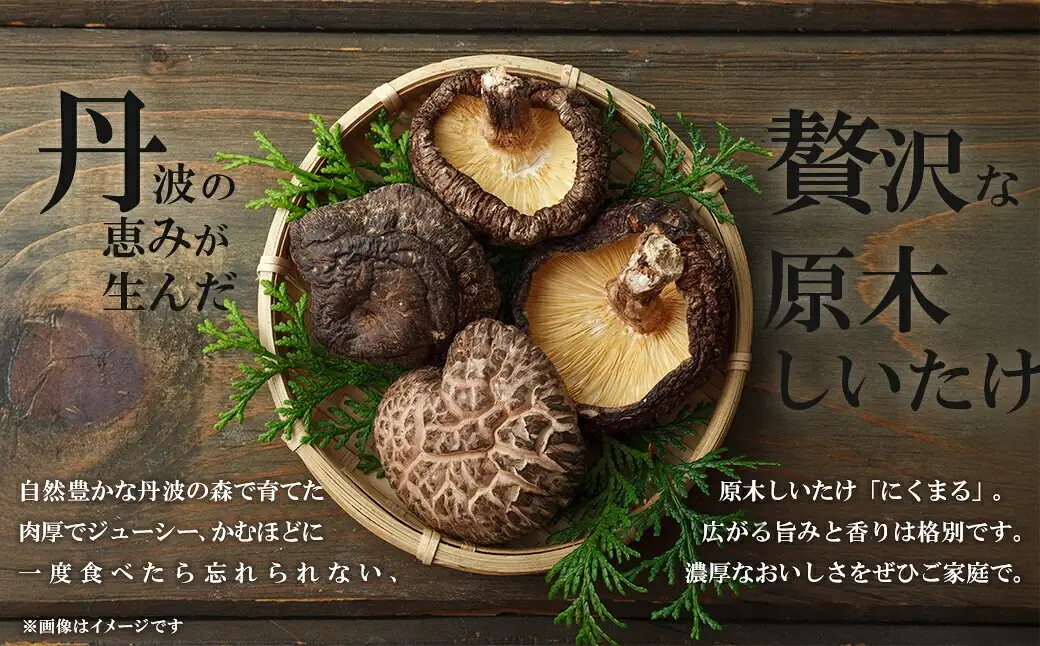 京都丹波 原木しいたけ 1kg 丹波かなまろんふぁーむ