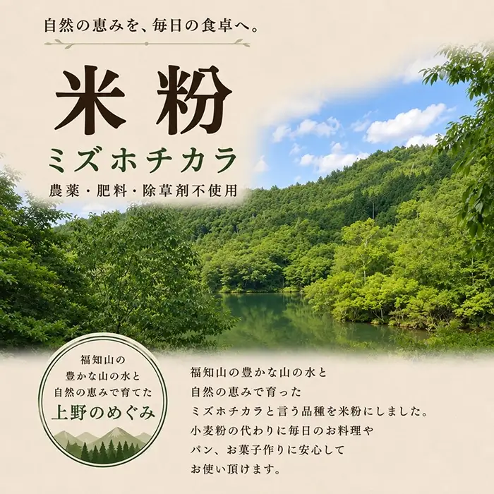ミズホチカラ米粉 1kg 農薬・肥料不使用 自然農法 リトリートかるむ