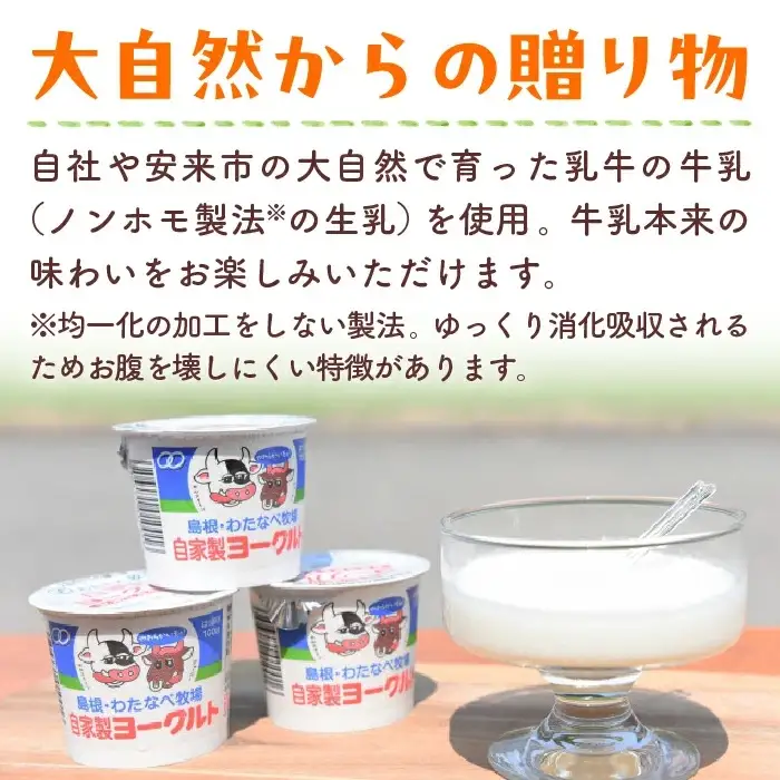 わたなべ牧場のヨーグルトセット24個 ／スプーン付き ヨーグルト 加糖 牧場 生乳 こだわり 甘み 搾りたて 安心 自然派 化学合成物質不使用 島根県 安来市