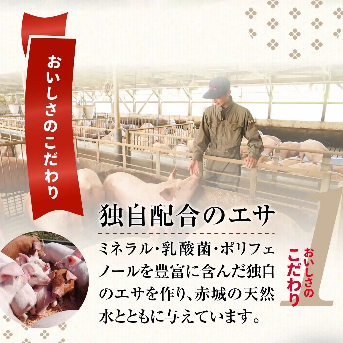 豚肉 極上の甘い脂 スライス肉セット 1.5kg