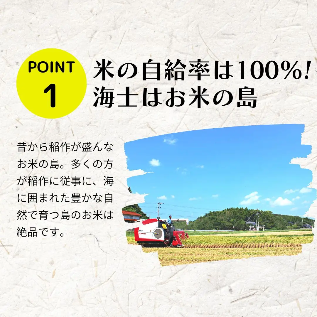 【令和8年度産】お米 コシヒカリ 5kg  精米
