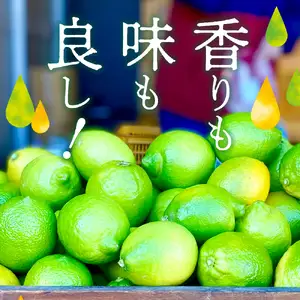 先行受付 2026年11月上旬～発送 広島県産 グリーンレモン5kg