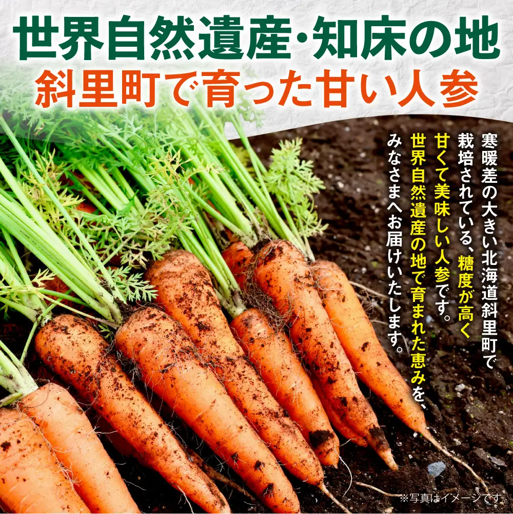 北海道斜里町 知床にんじん 10kg（Lサイズ） | 人参 北海道産 野菜 北海道 斜里町