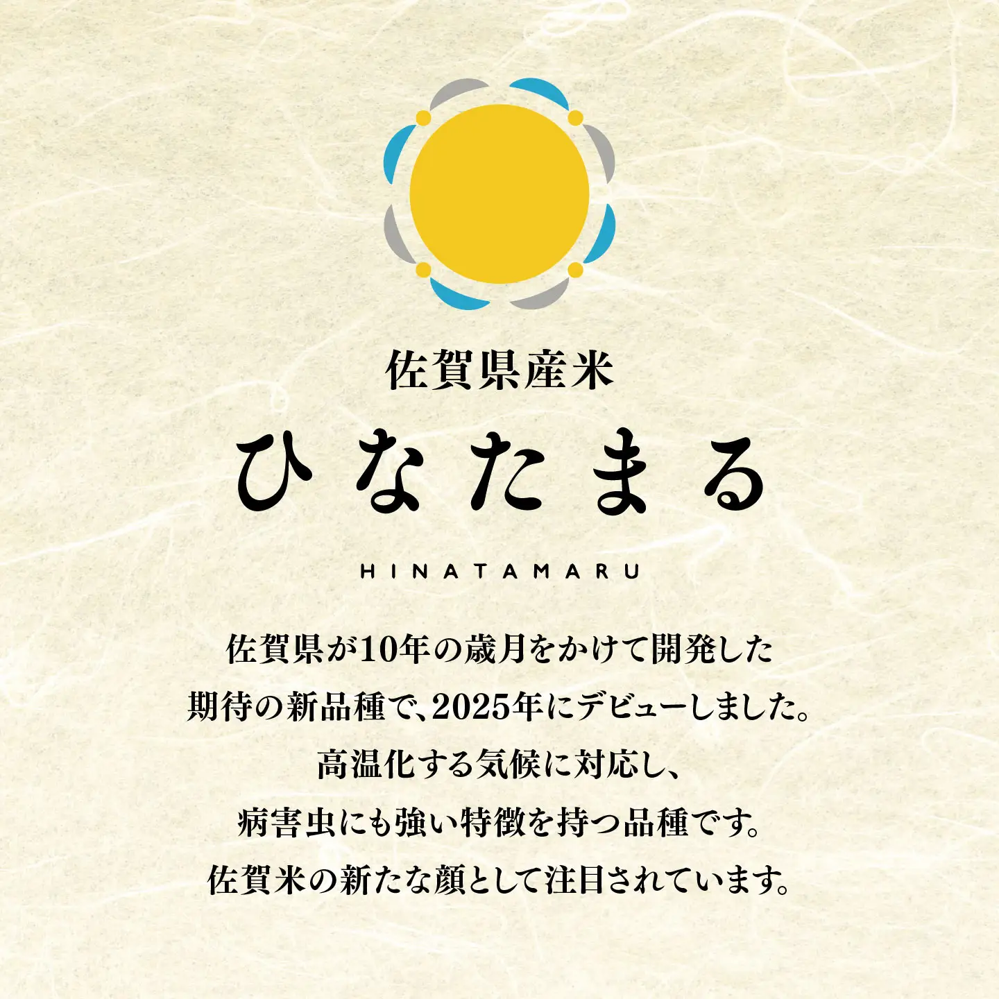 【令和7年産】ひなたまる 精米 4kg(2kg×2袋) (H015230)
