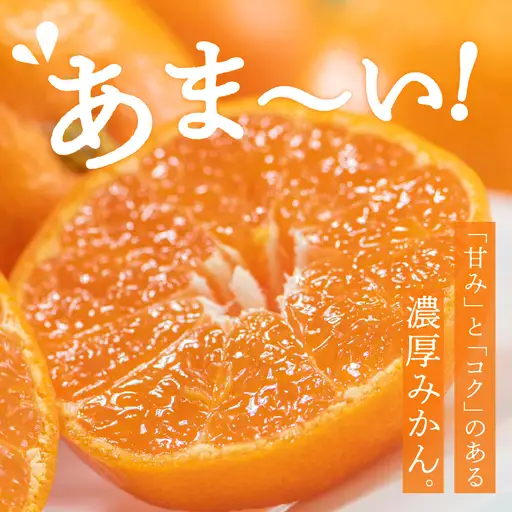 先行受付 2026年12月上旬～発送 呉市大長産「いしじみかん」3kg
