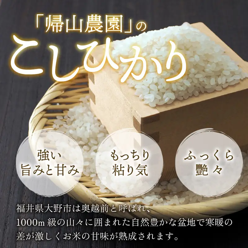 【令和8年産 新米】越前大野産 一等米 帰山農園の棚田育ちコシヒカリ 白米 5kg × 1袋