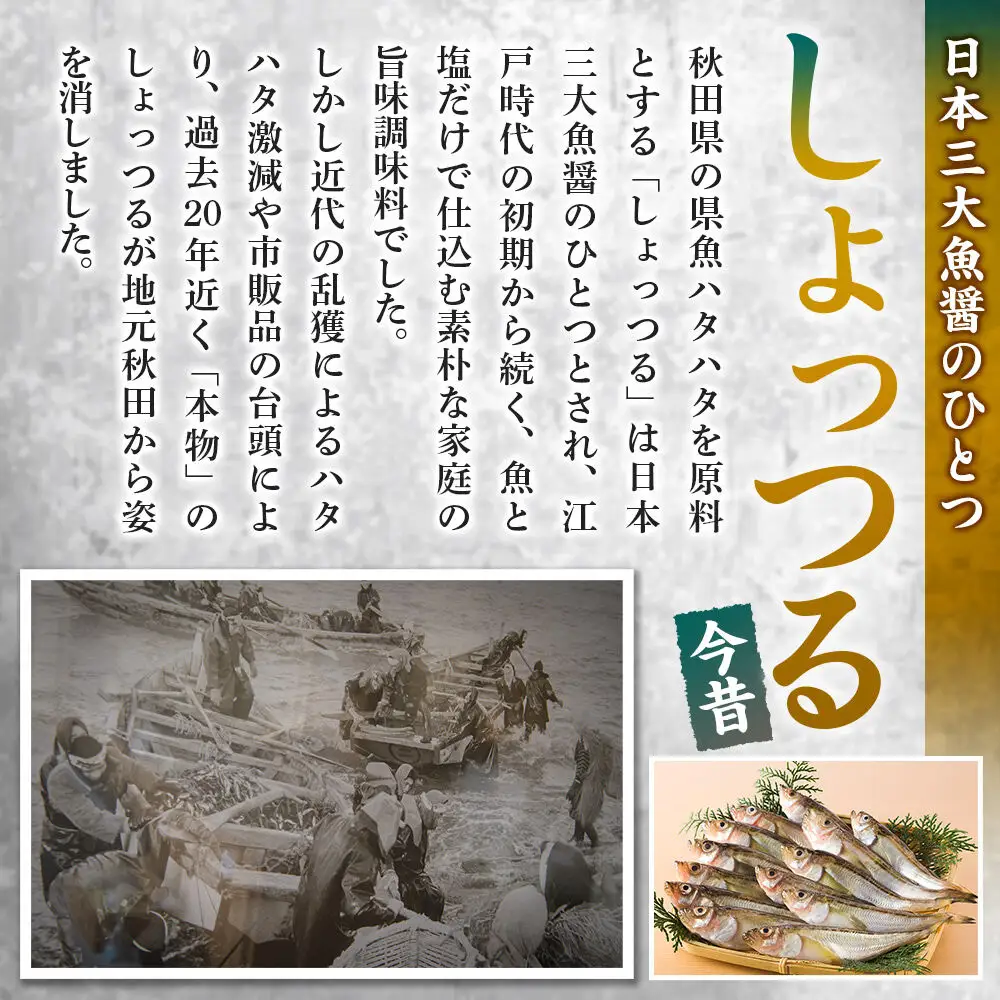 魚醤 秋田しょっつる 魚（トト）ミー 360ml×3本 諸井醸造