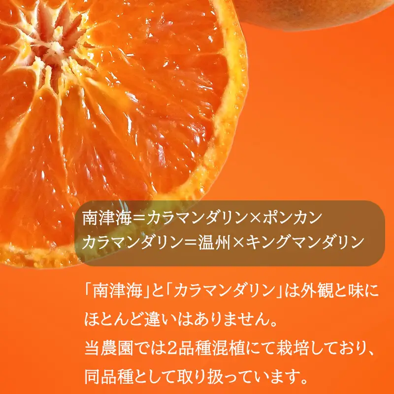 【2027年4月中旬から順次発送】南津海 カラマンダリン 1kg 家庭用 | 柑橘 みかん 【RNK031】