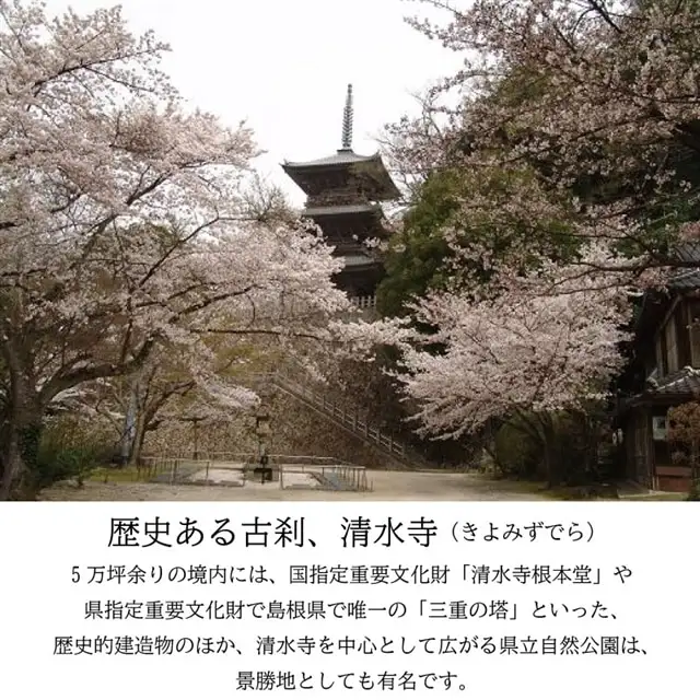 境内の宿　紅葉館　ご宿泊券　30,000円分【宿泊券 安来清水寺 精進料理 宿 旅館 旅 旅行 チケット 癒し リフレッシュ ヘルシー おもてなし ご褒美 自然 島根県 安来市】【100-KY-03】