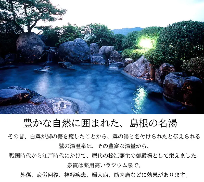 さぎの湯荘　ご宿泊券　10,000円分【宿泊券 温泉 源泉かけ流し 露天風呂 チケット 旅行 旅館 宿 旅 リフレッシュ くつろぎ ご褒美 癒し 自然 島根県 安来市】【34-SY-02】