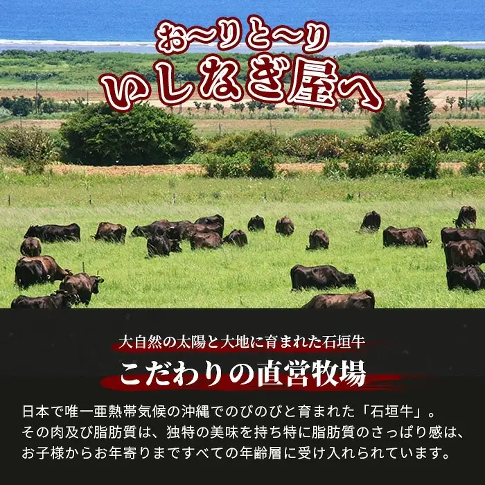 【定期便】《隔月全6回》【訳あり】石垣牛 焼肉用（不揃い）500g