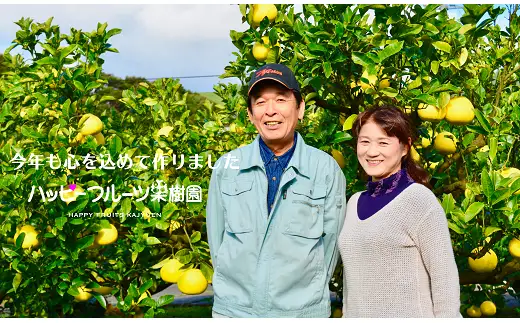 ハッピーフルーツ果樹園 土佐文旦 9kg (3kg × 3箱) 家庭用