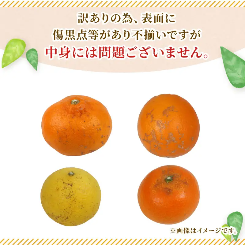 【みかん】訳ありみかん詰め合わせ約4kg矢野青果|B006-171048