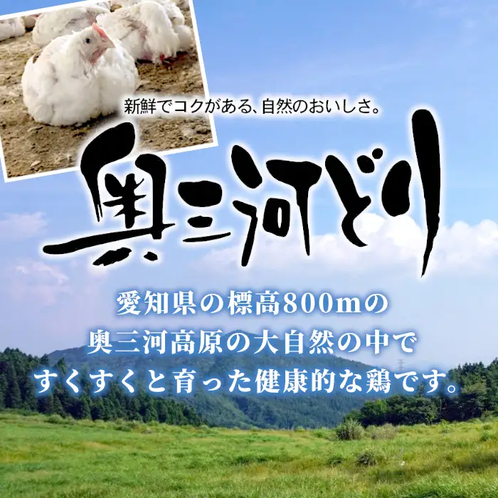 《３営業日以内に発送！》愛知県産 銘柄鶏 奥三河どり むね肉 ２Ｋｇ 低脂肪 高タンパク アスリート 筋活 ムネ肉 むね ムネ 鶏肉 ヘルシー 健康 ダイエット 筋トレ サラダ サラダチキン 国産 冷凍 生 鶏 平飼い -283