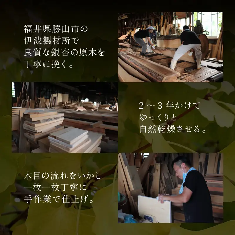 【一点物】恐竜のまち福井県勝山市の風土に育まれた 日本製高級国産いちょうのまな板(中) [B-026009]