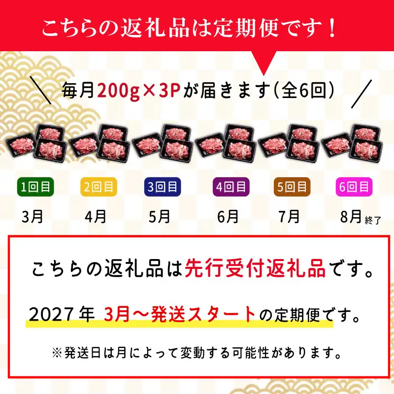 松阪牛 切り落とし 200g×3p【定期便全6回】 松阪牛 E2198-0