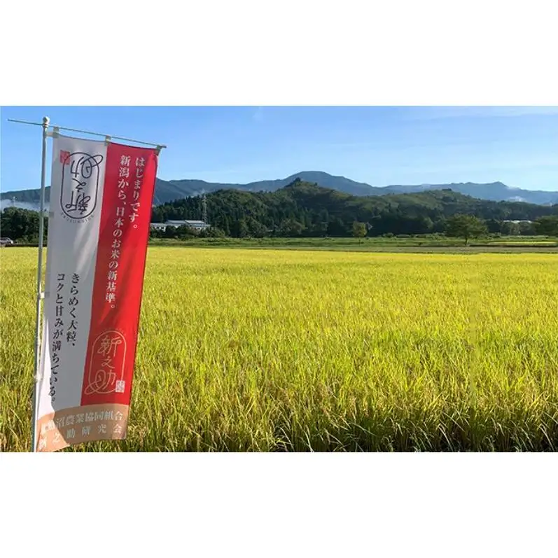 魚沼産 コシヒカリ （精米） 3kg & 新之助（精米）3kg 食べ比べ セット 3ヶ月 連続お届け