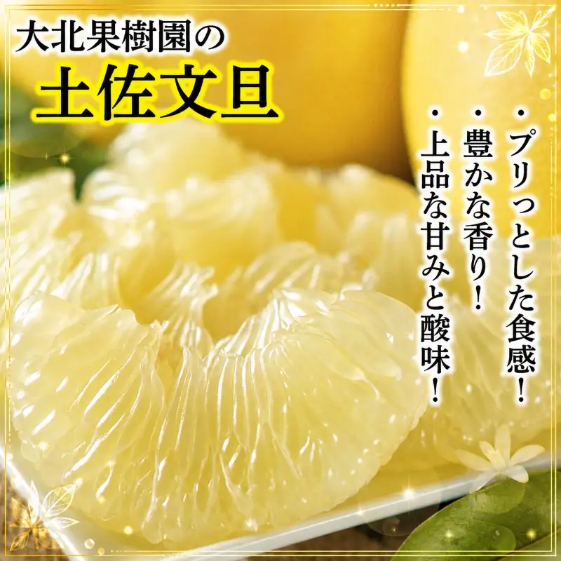 【訳あり】文旦 10kg L～4L 土佐文旦 大北果樹園