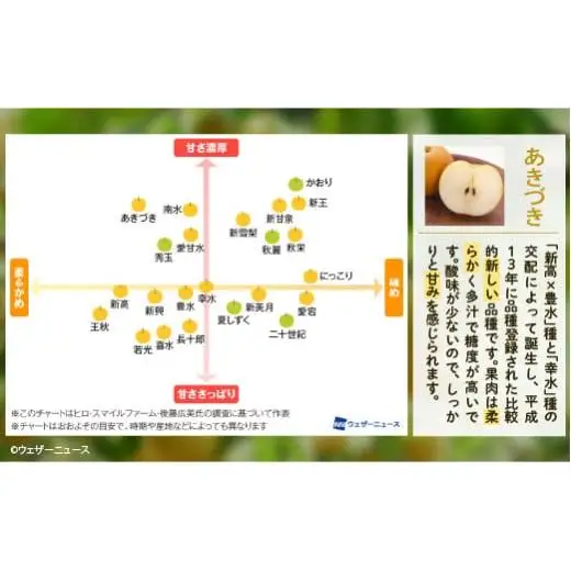 【あきづき約3kg】かまがや育ちの完熟梨（観光組合）