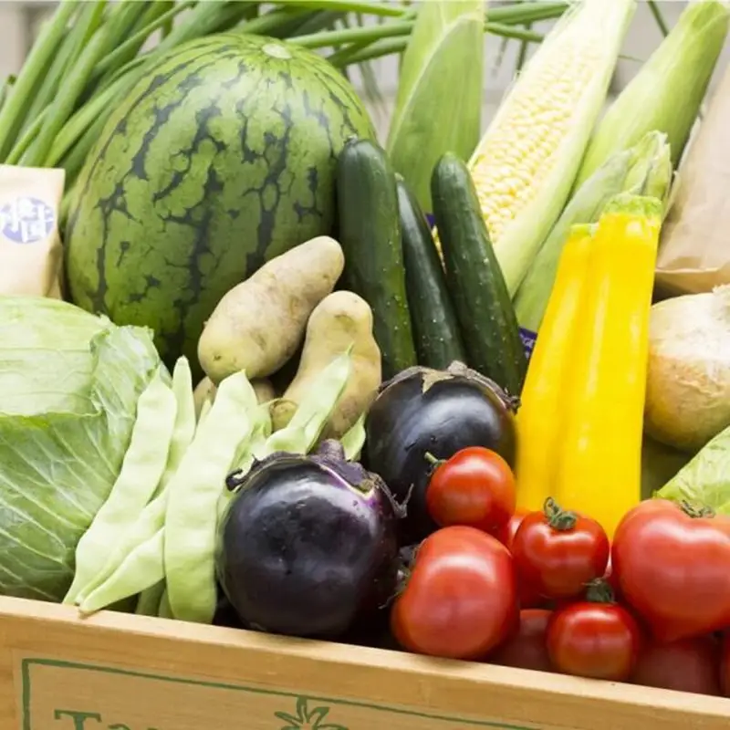 旬の野菜 5～8種詰め合わせと京都・京丹後産コシヒカリ2kgセット