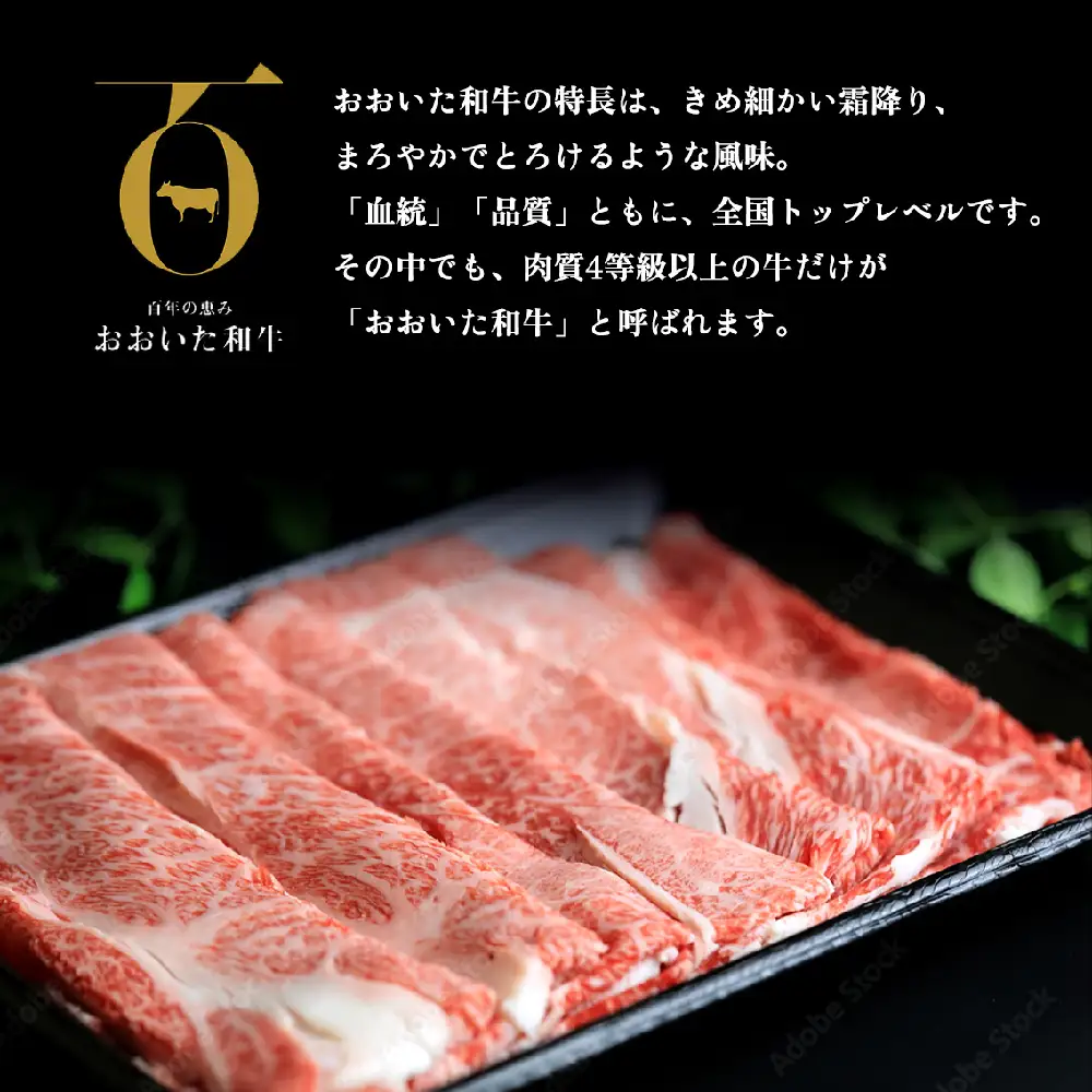 【ふるさと納税】大分県産 A4/A5等級 おおいた和牛 ロース スライス 500g すき焼き しゃぶしゃぶ 冷凍 和牛 牛肉 肉 お肉 国産 焼肉 大分県 玖珠町 大分 玖珠