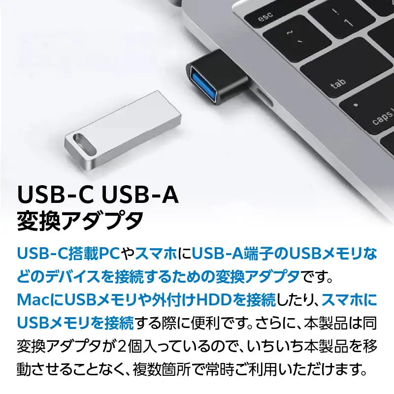 Hanx-Tech USB-C USB-A 変換アダプタ HT-CA48BY-2P AOP0041