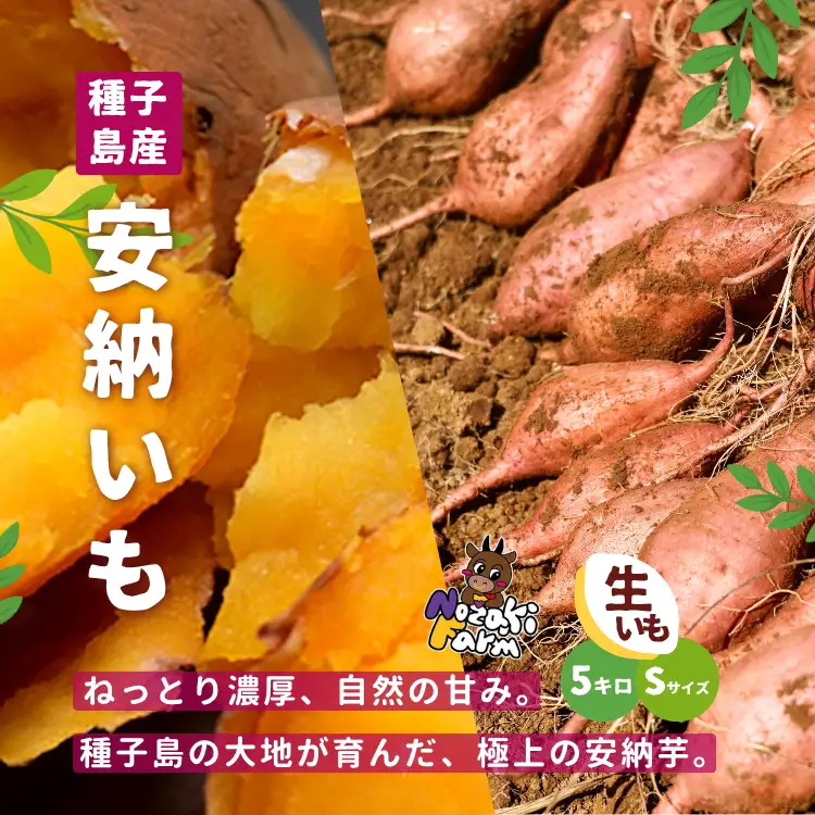 【 先行予約 】 種子島 野﨑ファーム 安納いも ( 紅 )  S サイズ 5kg　NFN654【300pt】// 安納芋 本場  糖度 熟成期間 G.I 保護制度 ブランド  生いも 芋 いも さつまいも 