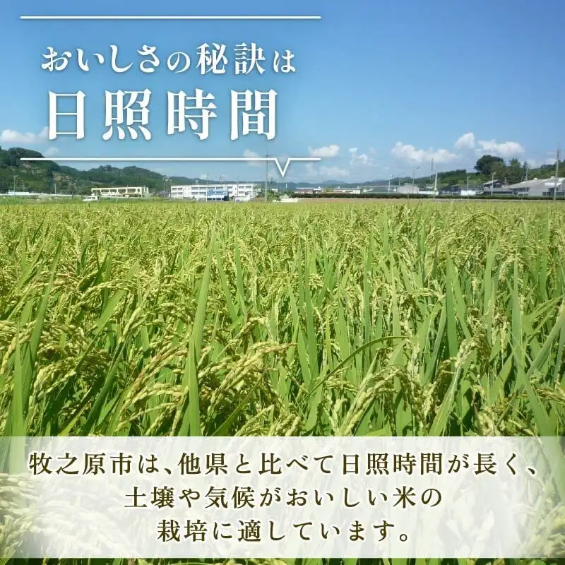 にじのきらめき 新米 5kg  9月下旬発送 富士勝茶農業協働組合 牧之原市 にじのきらめき