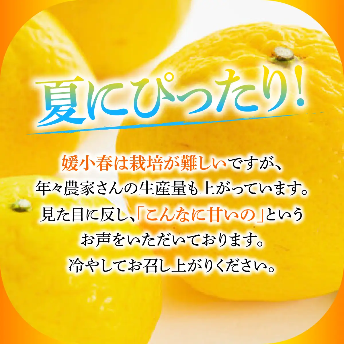 媛小春180ml×12本【56-95】YWTAS085