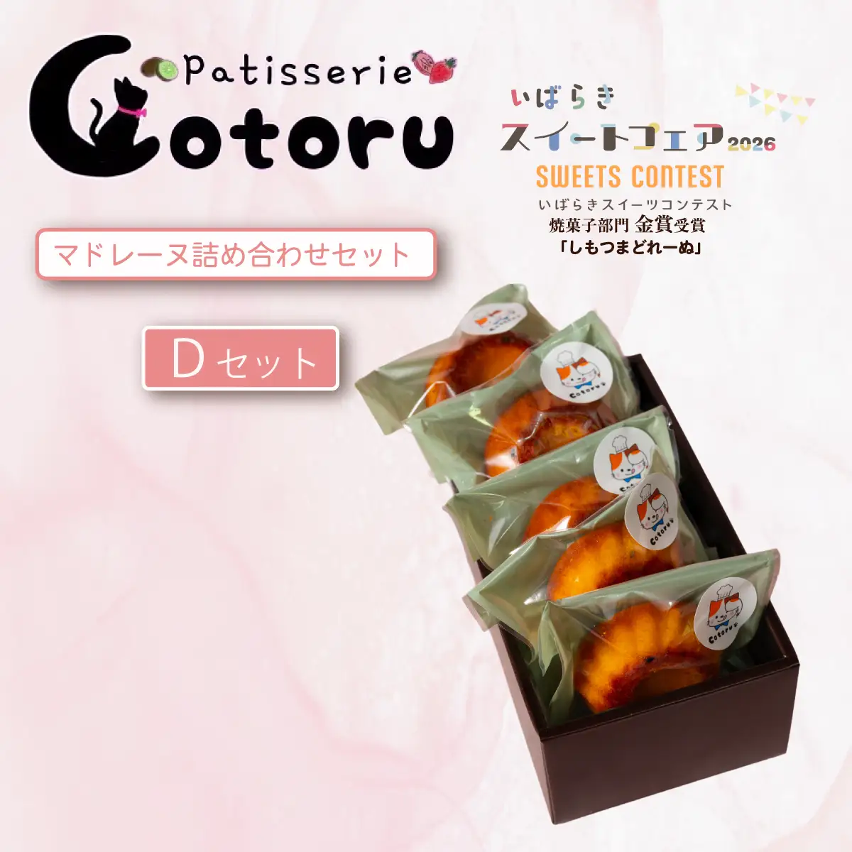 マドレーヌ 焼菓子 詰め合わせ コトル Dセット マドレーヌ
