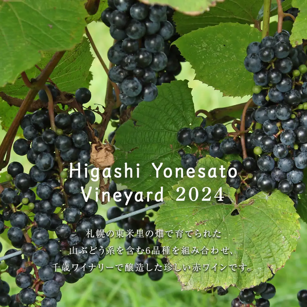 東米里ヴィンヤード2024 1本