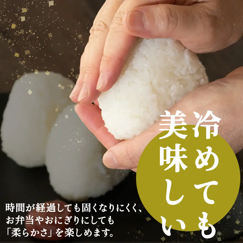 【令和7年産】北海道産おぼろづき 5kg×2 計10kg【配送不可地域：離島・沖縄県】