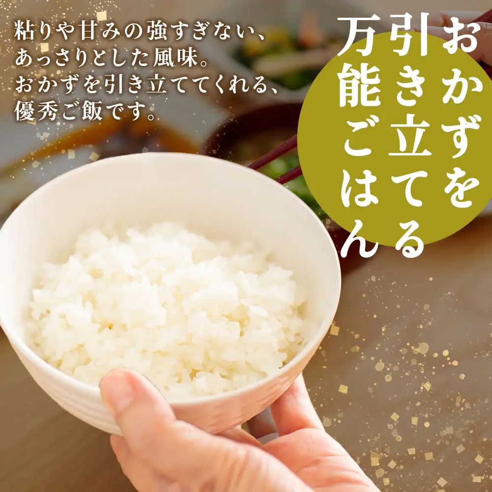 【令和7年産】北海道産ななつぼし 5kg×2 計10kg【配送不可地域：離島・沖縄県】