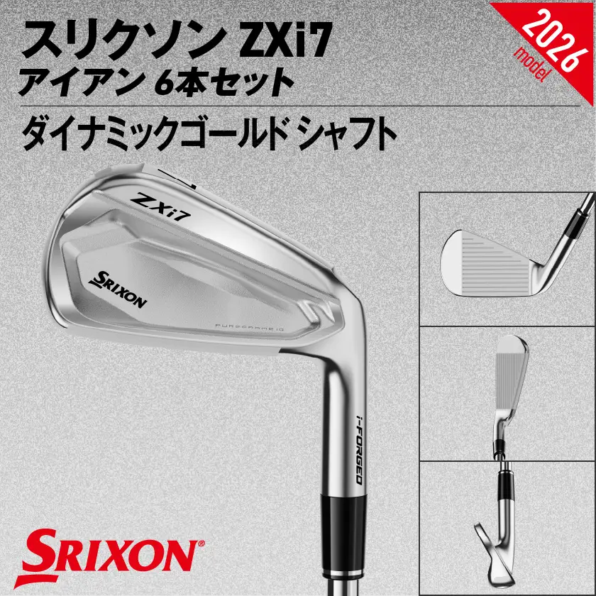 スリクソン ZXi7 アイアン ダイナミックゴールド スチールシャフト 6本