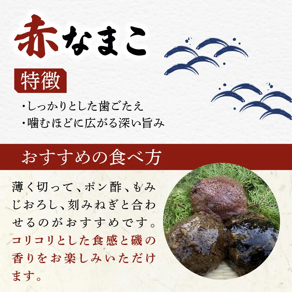 防府市産天然赤なまこ500g 凪翔政栄丸 山口県 防府市 A-B39 なまこ 赤ナマコ 活き 瀬戸内海 珍味 このわた 海鮮 おつまみ 高級