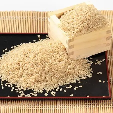 【新米予約】令和8年産 あきたこまち 玄米 10kg(5kg×2袋)【配送不可地域：離島・沖縄県】【1756031】