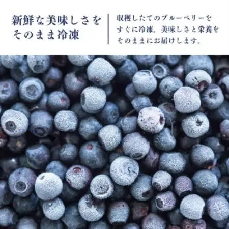 冷凍ブルーベリー2kg(500g×4パック)【配送不可地域：離島】【1761153】