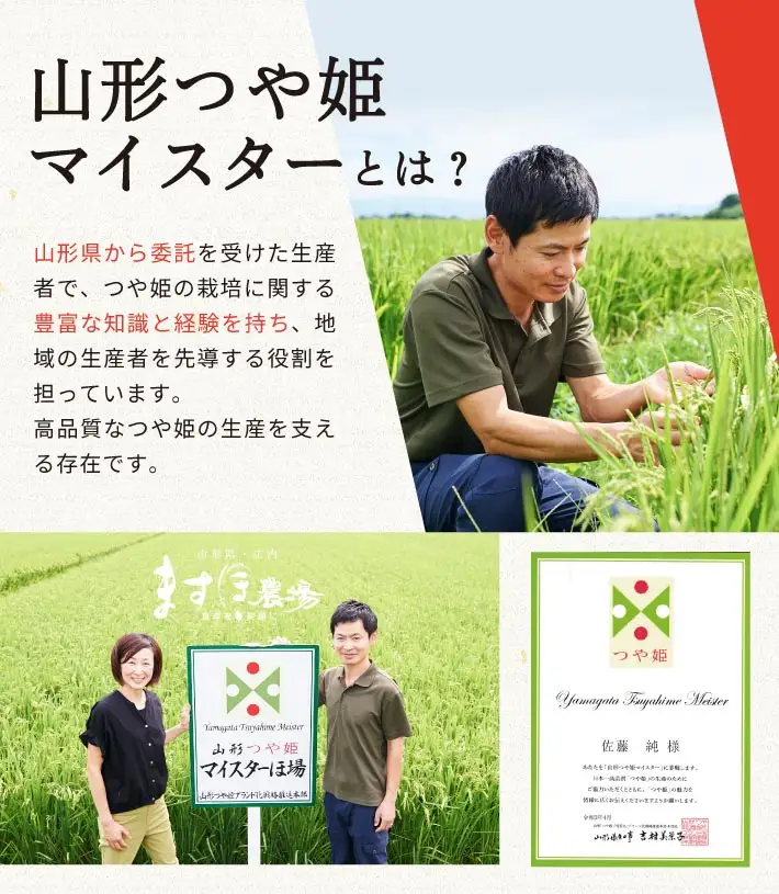 SC0729　11月上旬配送／令和8年産【精米】つや姫マイスターが作った 特別栽培米『つや姫』10kg(5kg×2袋)［減農薬・減化学肥料］ MA