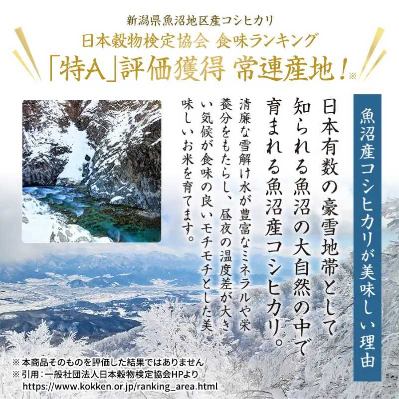 【令和8年産 先行予約】【12ヶ月定期便】魚沼産こしひかり 棚田米(十日町地域) 精米 5kg 米 お米 コシヒカリ 定期 十日町市