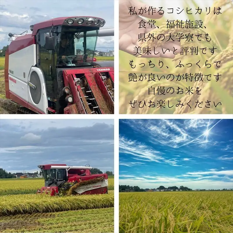令和8年産 先行予約 新潟県上越市産コシヒカリ 5kg