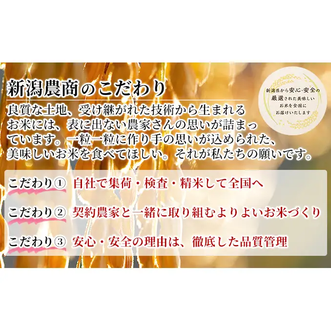 【先行予約】R8年産新潟産新之助 2kg×2 お米 精米 白米 ご飯 ブランド米 銘柄米 おにぎり お弁当 産地直送