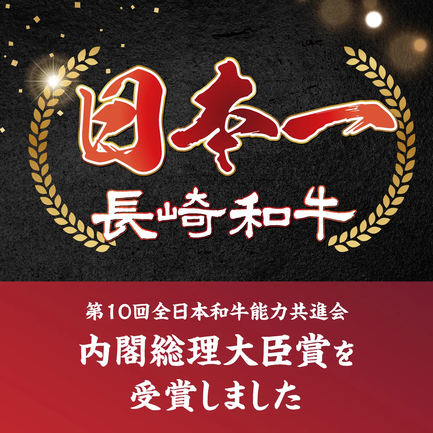【3回定期便】【A4?A5】長崎和牛切り落とし　約1kg（500g×2パック）＜株式会社MEAT PLUS＞[CFT070]