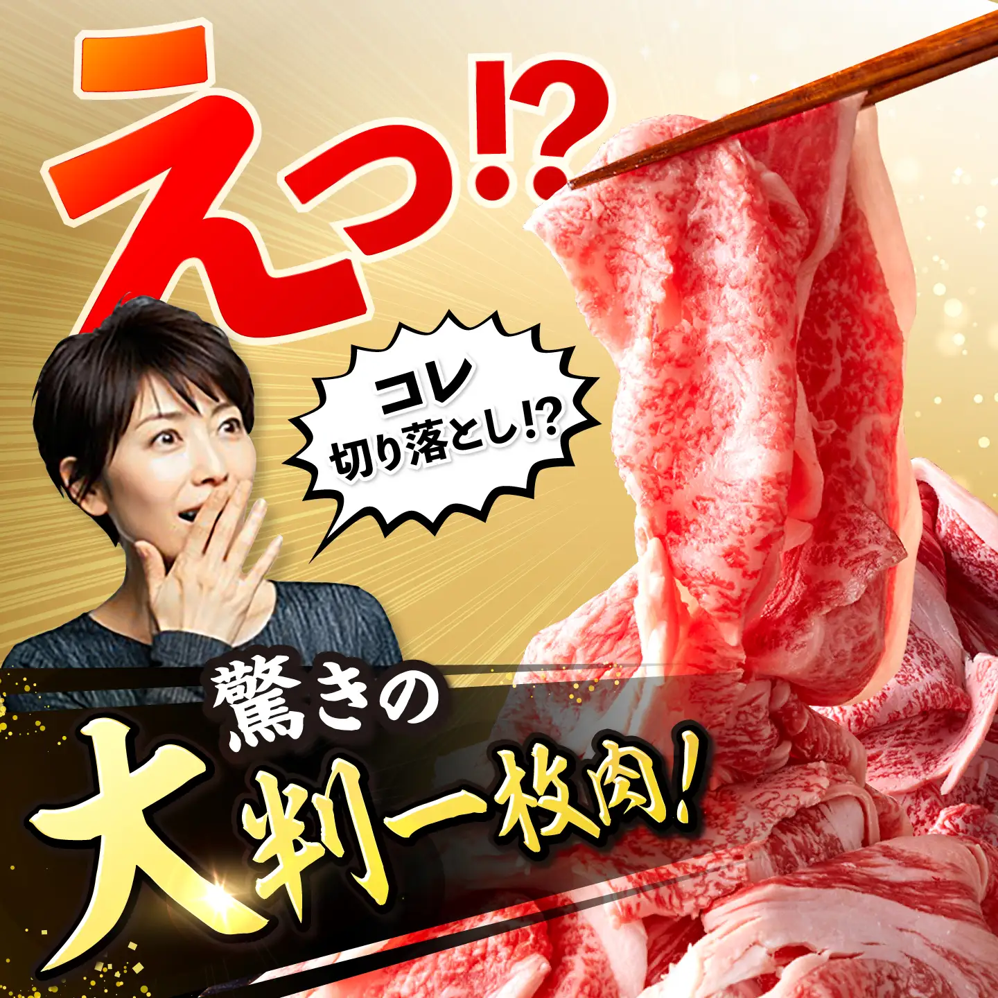 【3回定期便】艶さし！【A4?A5】長崎和牛大判霜降り贅沢切り落とし 計500g（250g×2パック）＜株式会社MEAT PLUS＞[CFT073]