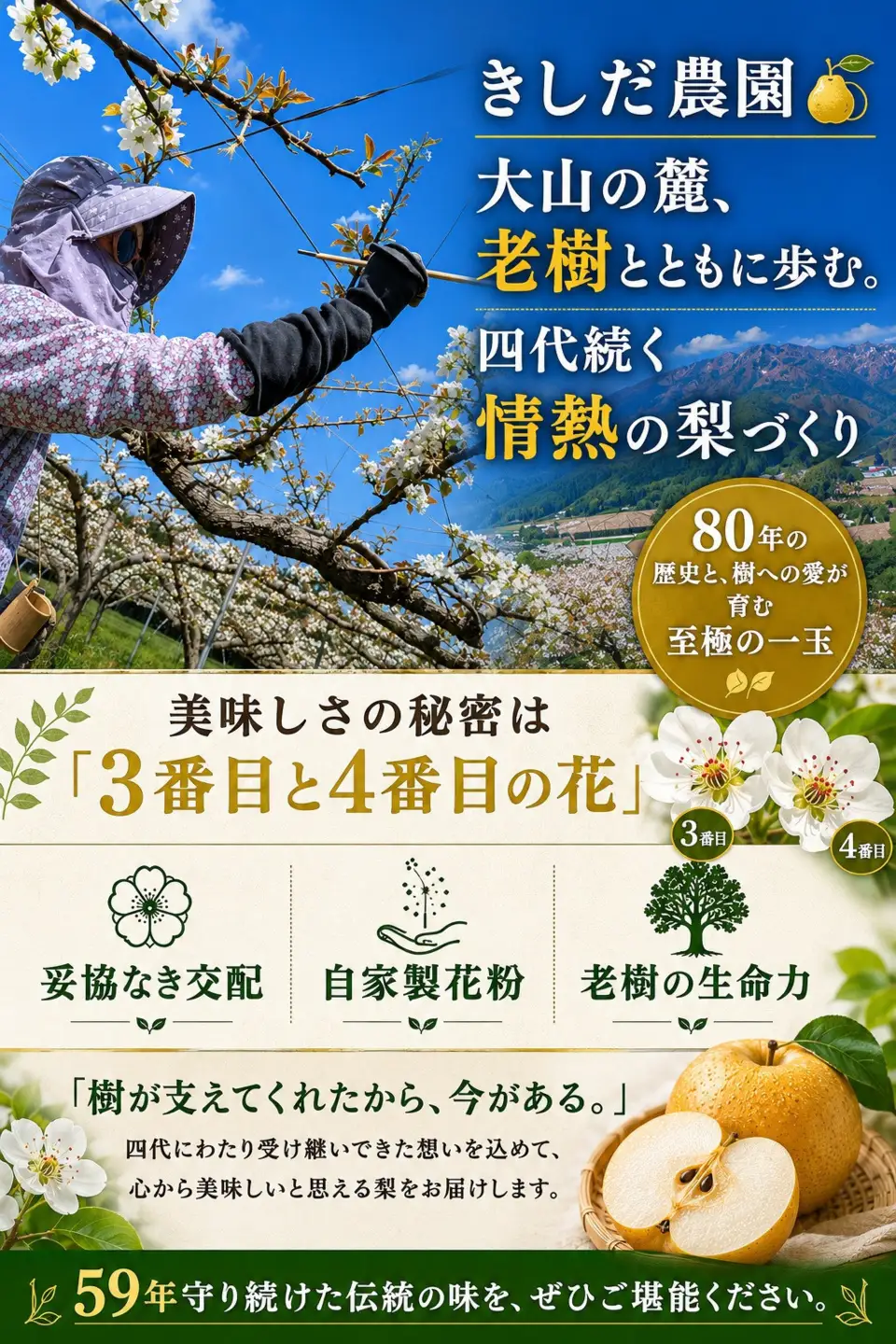 きしだ農園 二十世紀梨 自家用5kg 【鳥取県 境港市】