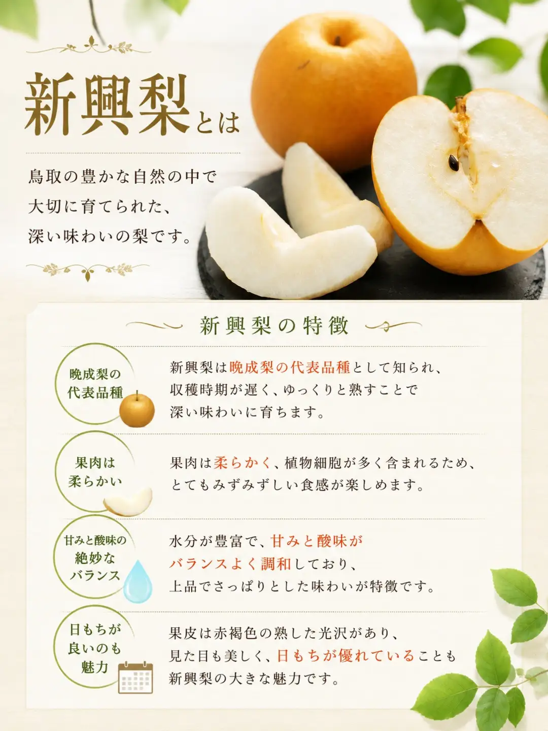 有梨の実石田 新興梨 進物5kg 【鳥取県 境港市】