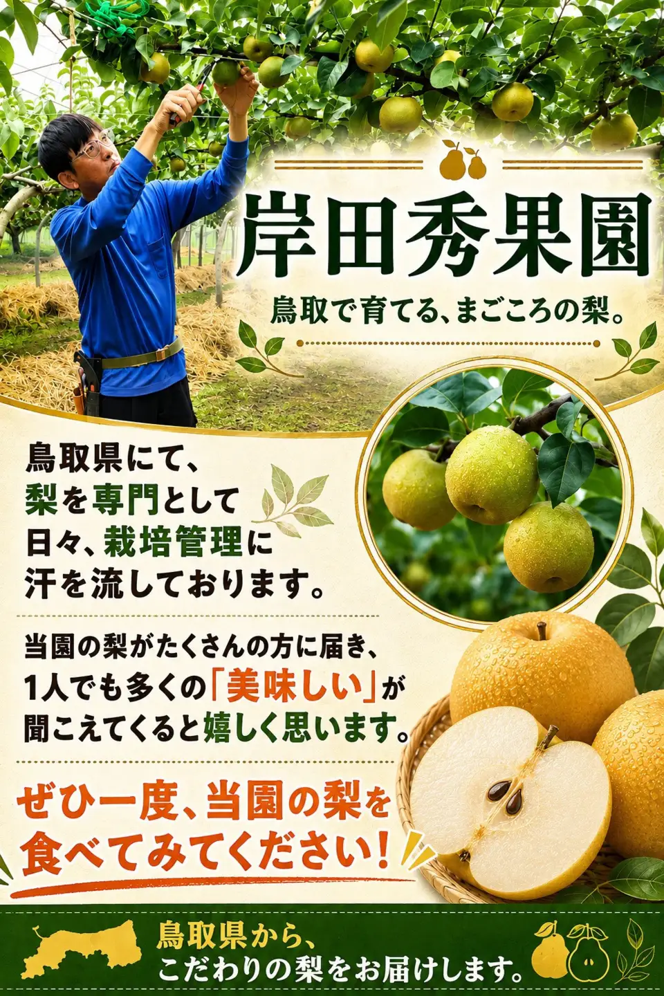 岸田秀果園 新興梨 進物5kg 【鳥取県 境港市】